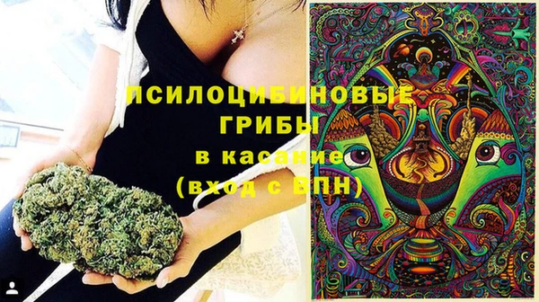 прущие крисы Верея