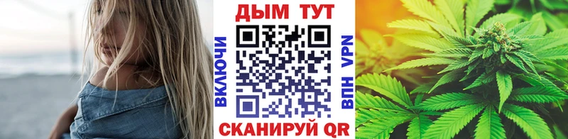 Каннабис планчик Грайворон